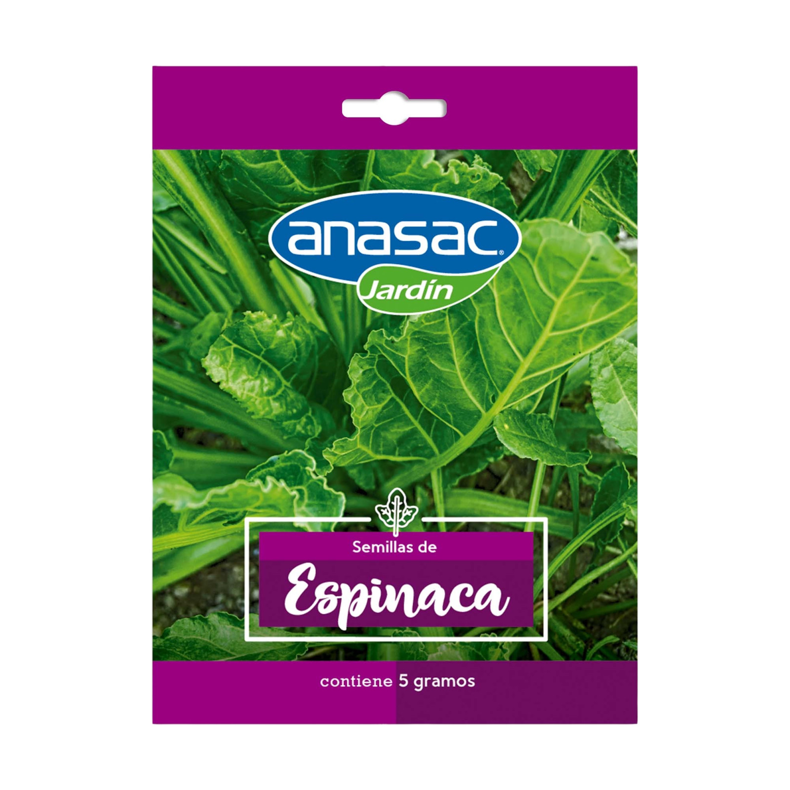 SEMILLA ESPINACA (5 GR) ANASAC