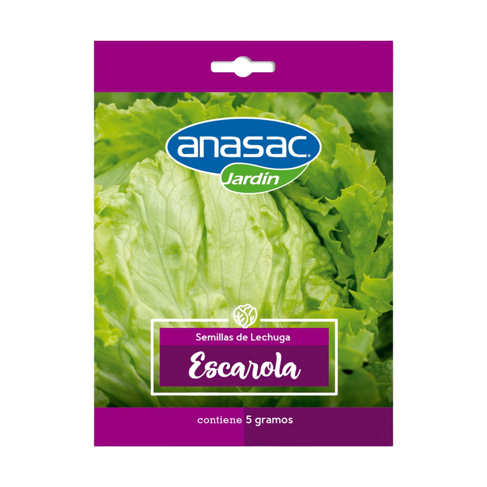 SEMILLA LECHUGA ESCAROLA (5 GR) ANASAC