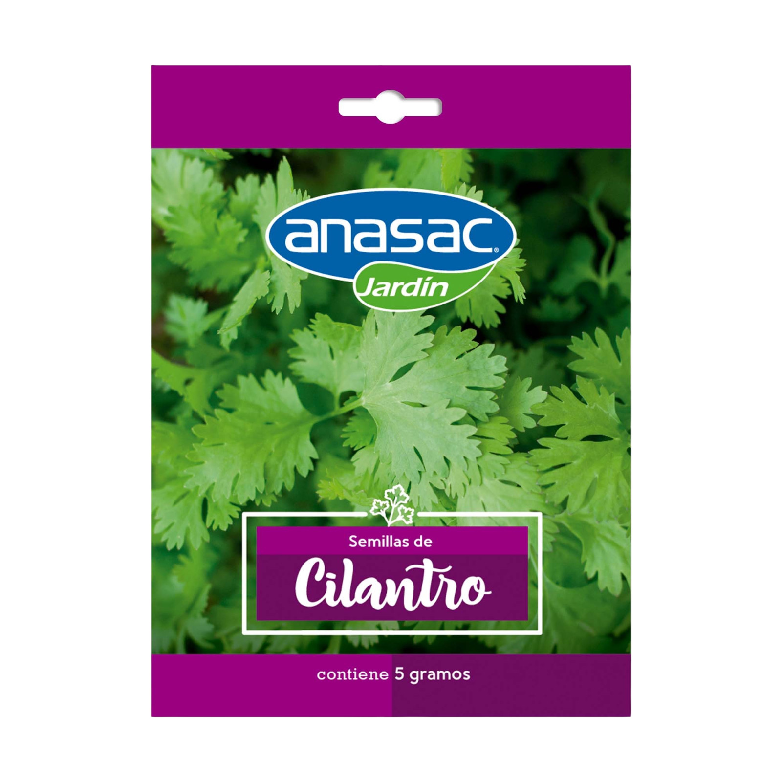 Semilla CILANTRO (5 Gr) Anasac